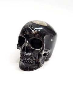 Skulls: Breccicated Jasper Small Skull