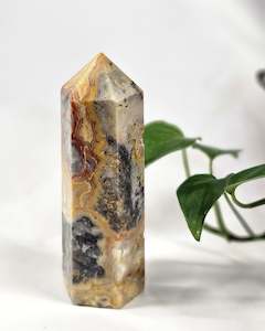 Crazy Lace Agate Point