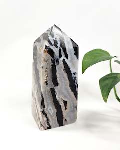 Zebra Jasper Point