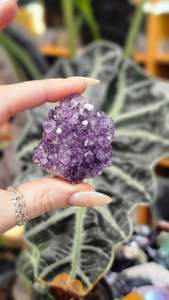 Amethyst Pine Cluster #4