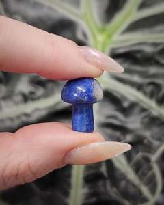 Carvings: Lapis Lazuli Mini Mushroom