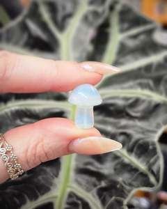 Opalite Mini Mushroom