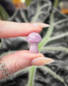 Carvings: Lepidolite Mini Mushroom