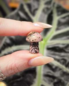 Rhodonite Mini Mushroom