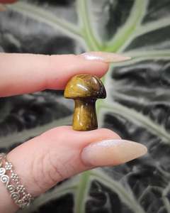 Carvings: Tiger’s Eye Mini Mushroom