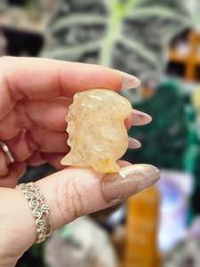 Golden Healer Dinosaur