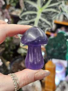 Comfort: Rainbow Fluorite Mushroom