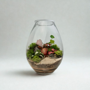 Artful Plant Arangements: Terrarium - The Classic