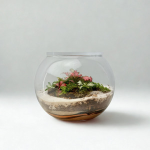 Artful Plant Arangements: Terrarium - The Petite