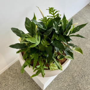 Large Living Installations: Evergreen Lily Bouquet