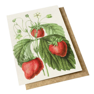 Card – Vintage Botanical – Strawberries