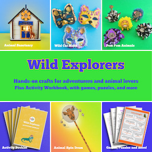 All Craft Kits: Wild Explorers Box