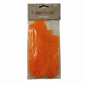 Feathers 1: Orange Feathers