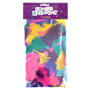Craft Colour Feathers - Bright