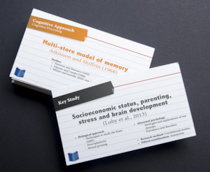 Flashcards: IB Psychology Flashcards (single packs)