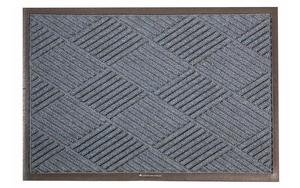 Recess Mats: Waterhog Eco Premier Mat