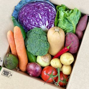 Corporate: Vege Box