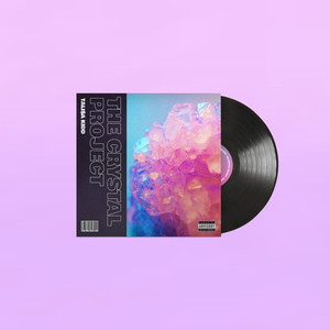 Products: THE CRYSTAL PROJECT VINYL The Meat Preachers