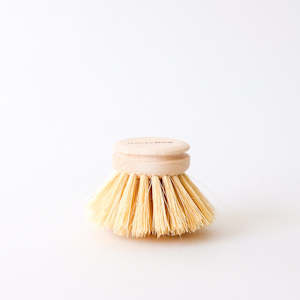 The Eco: Dish Brush Replacement Head
