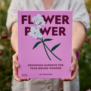 Latest Arrivals: Flower Power