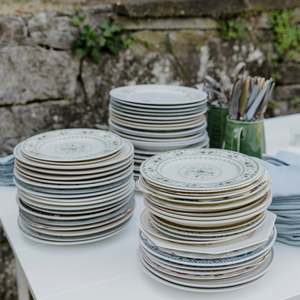 Eclectic Vintage Dinner Plates (Set of 10)