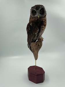 Wood Owl
