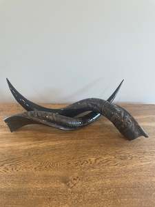 Polished Kudu Horns