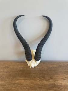 Springbok Skull Cap