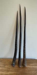 Bones: Gemsbok Horns