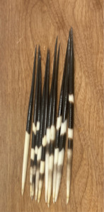 Miscellaneous: Thick Porcupine Quills