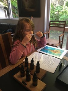 Kids Scent Workshops - The Olfactory