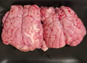 Lamb Brain