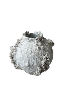 Original Barnacle Pot