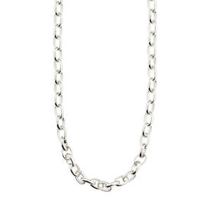 Jewellery: Charm Necklace - Silver Plated