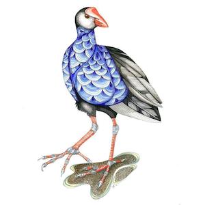 Pukeko Print