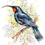 New Zealand Prints: Floral Huia Print