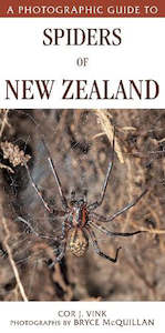 Science Mathematics: A Photographic Guide to Spiders of New Zealand