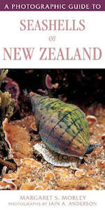 Science Mathematics: A Photographic Guide to Seashells of New Zealand