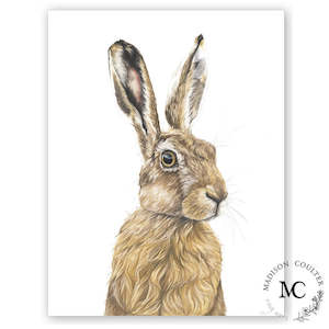 Hare Print by Madison Coulter A4