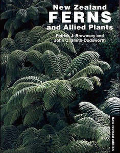 New Zealand: New Zealand Ferns and Allied Plants
