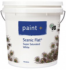 Architectural: PAINT PLUS SCENIC FLAT SUPER SATURATED COLOUR