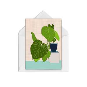 Houseplant Blush