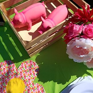 Products: Piggy Party Box - The Party Godmother Party Hire Tauranga