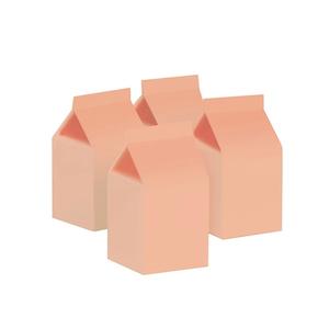 Pastel Peach Milk Boxes 10pk