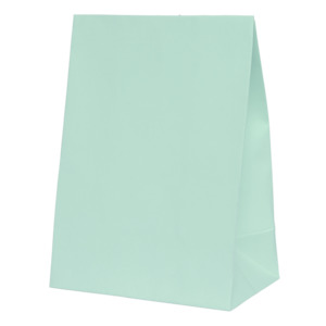 Mint Green Paper Party Favour Bag 10pk