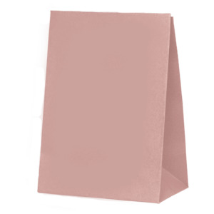 Treat Bags Boxes: Rose Paper Party Favour Bag 10pk