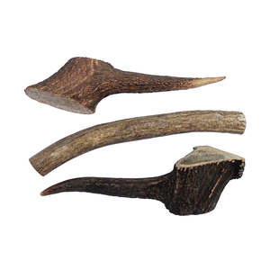 Deer Antler - Medium Dog Chew