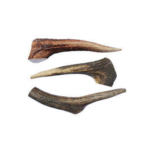 Bones: Deer Antler - Small Dog Chew