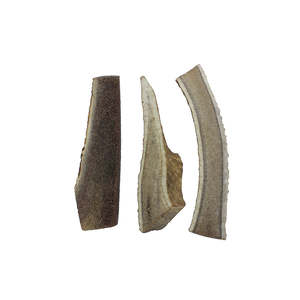 Bones: Platinum Ranch Deer Antler - Split Small