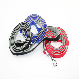 Nylon Dog Leash With Soft Padding 15mm